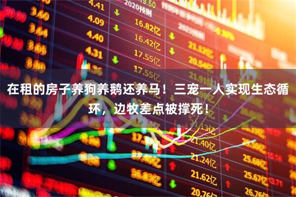 在租的房子养狗养鹅还养马！三宠一人实现生态循环，边牧差点被撑死！