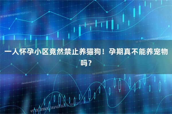 一人怀孕小区竟然禁止养猫狗！孕期真不能养宠物吗？