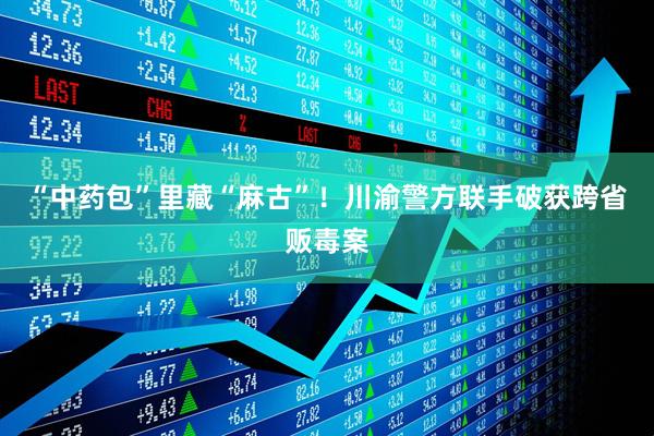 “中药包”里藏“麻古”！川渝警方联手破获跨省贩毒案