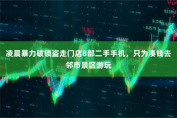凌晨暴力破锁盗走门店8部二手手机，只为凑钱去邻市景区游玩